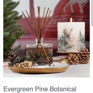 Andaluca Evergreen Pine Botanical Reed Diffuser- NWOT